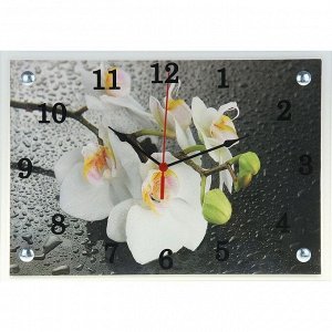 Часы настенные, серия: Цветы, "Белая орхидея", 25х35  см, в ассортименте