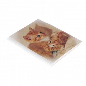 Фотоальбом на 36 фото 10х15 см Pioneer Puppies and kittens рыжие котята