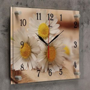 Часы настенные, серия: Цветы, "Милые ромашки" 30х40 см, в ассортименте