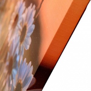 Модульная картина "Ромашки в закате" (3-35х35) 35х105 см