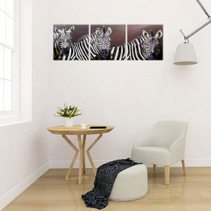 Модульная картина "Зебры" (3-35х35) 35х105 см