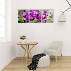 Модульная картина "Веточка орхидеи" (3-35х35) 35х105 см
