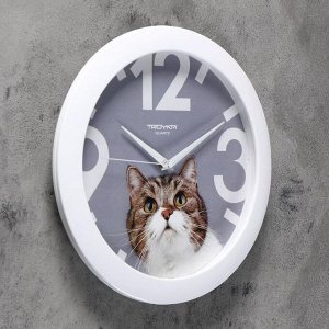 Часы настенные, серия: Животный мир, "Кот", d=29 см, белый обод