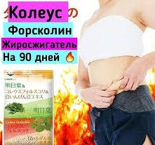 Улучшенный состав! Seedcoms Блокатор калорий Колеус Форсколии + Экстракт белой фасоли +экстракт Африканского Манго на 90 дней