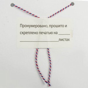 Этикетка самоклеящаяся "Пронумеровано, прошито и скреплено", 70х37 мм, 24 этикетки, 10 листов, 128833