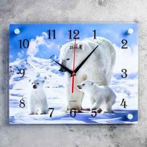 Часы настенные, серия: Животный мир, "Белые медведи", 30х40 см, микс
