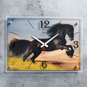 Часы настенные, серия: Животный мир, "Чёрный конь", 40х56 см микс