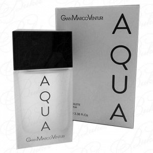 GIAN MARCO VENTURI AQUA edt W 100ml