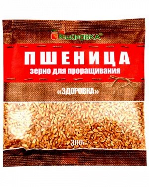 Зерно Пшеница для проращивания "Здоровка" 300,0 (6) РОССИЯ