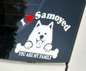 Наклейка светоотражающая "Я люблю Самоед"
