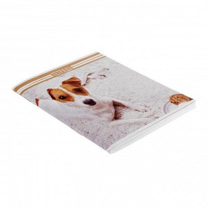 Тетрадь 96 листов в линейку "Домашние животные", белый блок, обложка мелованный картон, МИКС