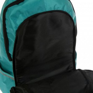 Рюкзак молодёжный, Luris «Спринт», 42 х 28 х 20 см, эргономичная спинка, «Медведь»