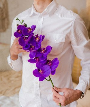 Орхидея фаленопсис &quot;Жозель&quot; 9 цветков. Искусственный цветок.