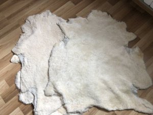 Шкура овечья белая 170х120 см