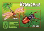 «Насекомые»