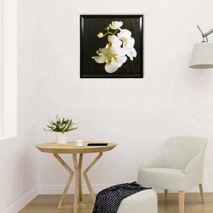 Картина "Белая орхидея" 75*75 см рамка микс