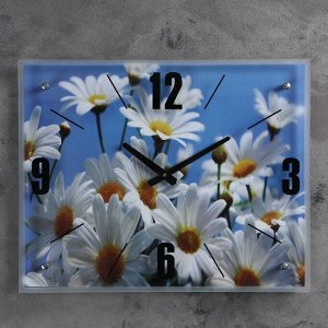 Часы настенные, серия: Цветы, "Ромашки", 40х50  см, в ассортименте