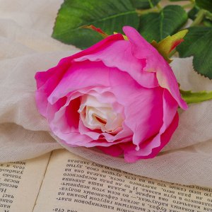 Цветы искусственные "Роза амбра" 6*51 см, розовый
