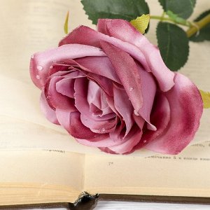 Цветы искусственные "Роза капельки" 7,5*55 см, розовая МИКС