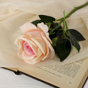 Цветы искусственные &quot;Роза венесуэльская&quot; 8*23 см, персиковая