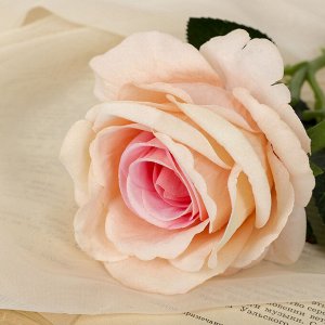 Цветы искусственные "Роза венесуэльская" 8х23 см, персиковый
