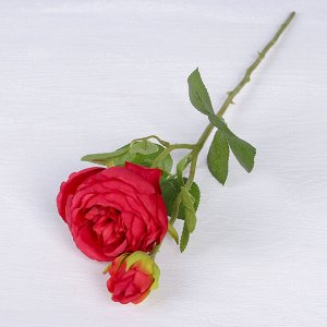 Цветы искусственные "Роза пионовидная два бутона" 7*37 см, красный