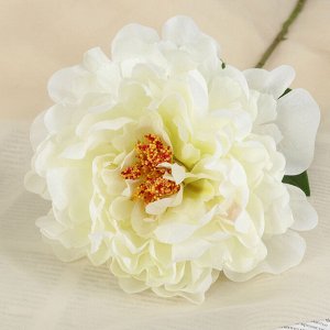 Цветок искусственный "Бархатный пион" белый
