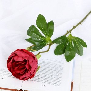 СИМА-ЛЕНД Цветы искусственные &quot;Пышный пион&quot; 7х47 см, бордовый