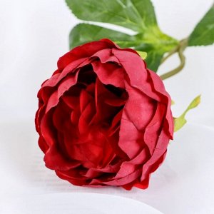 Цветок искусственный "Пышный пион" 7х47 см, бордовый