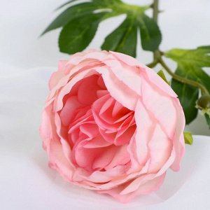 Цветок искусственный "Пышный пион" 7х47 см, розовый