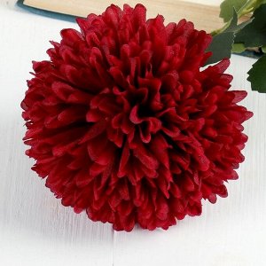 Цветы искусственные "Хризантема" 9*48 см, бордовый
