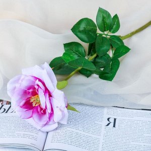 Цветы искусственные "Роза Стамэн Стар" 11*66 см, сиреневый