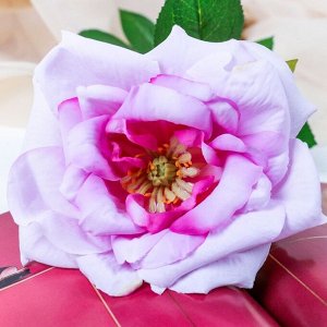 Цветы искусственные "Роза Стамэн Стар" 11*66 см, сиреневый