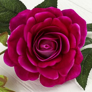 Цветок искусственный "Роза Мари" пурпурная