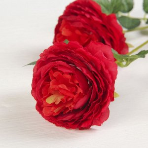 Цветы искусственные "Роза терция" 8*60 см, бордовый