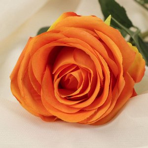 Цветы искусственные "Роза экспрессия" 9,5*66 см, оранжевая