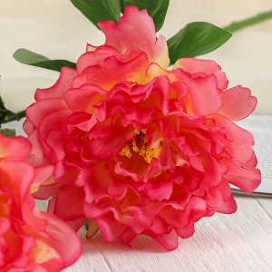 Цветы искусственные "Пышные бутоны" розовые