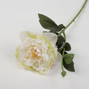 Цветы искусственные "Пион с бутончиком" 10*57 см, белый