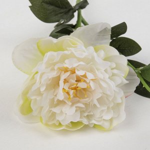 Цветы искусственные "Пион с бутончиком" 10*57 см, белый