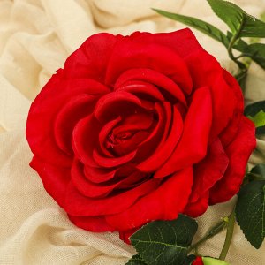 Цветы искусственные "Роза двойная Эвридика" 10*54 см, красный