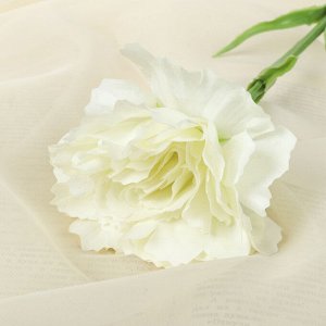 Цветок искусственный LIVE "Гвоздика волнистая белая"