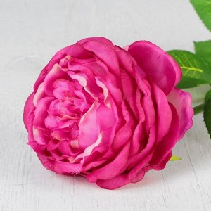 Цветы искусственные "Роза бархатная" 11*65 см, сиреневая