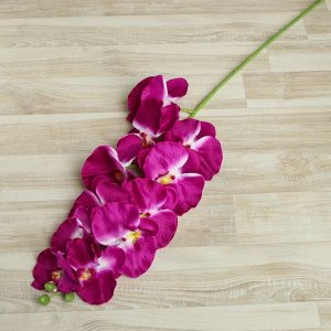Цветы искусственные "Орхидея Галатея" 95 см, сиреневая