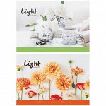 Альбом для рисования 20л., А4, на склейке ArtSpace &quot;Стиль. Light moments&quot;