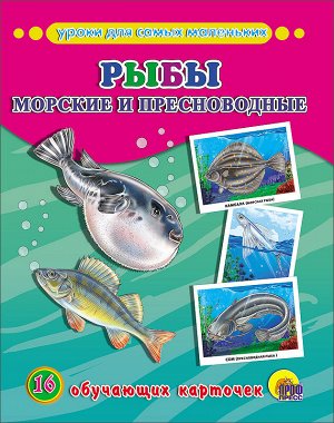 Обучающие карточки. рыбы морские и пресноводные
