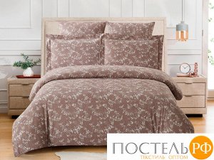 КПБ Cleo "Cotton Jacquard" евро 200*220*1 230*250*1 50*70+6,5*2 70*70*2 31/005-CJ (Подарочная Коробка)