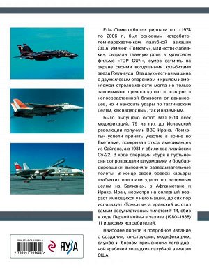 Никольский М.В. Истребитель-перехватчик F-14 «Томкэт». «Рабочая лошадка» палубной авиации США