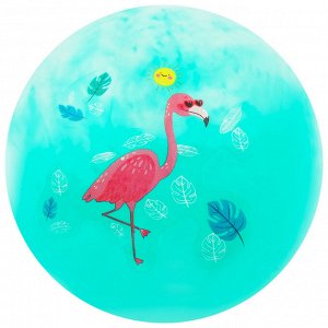Мяч детский «Фламинго», d=22 см, 60 г, цвета МИКС