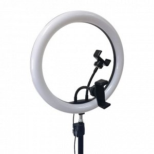 Кольцевая лампа со штативом для съемки Ring Fill Light 36 см