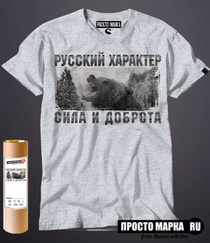 Мужская футболка Русский характер сила и доброта